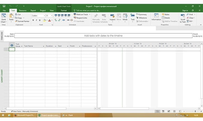 Microsoft Project Professional 2019